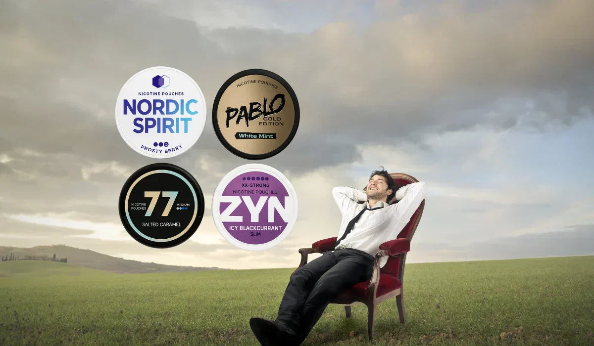 Nicotine Pouches 101: Modern Options for Discreet Enjoyment