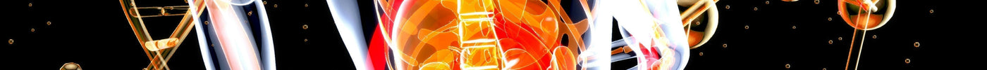 How Long Does Nicotine Stay in Your System After Using a Nic Pouch?