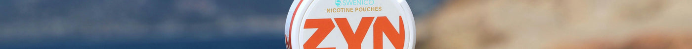 Nicotine Pouch Guide