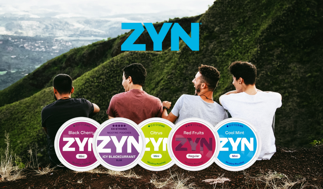 What UK Users Love About ZYN: Top Five Flavours in 2025 – Pouch Central