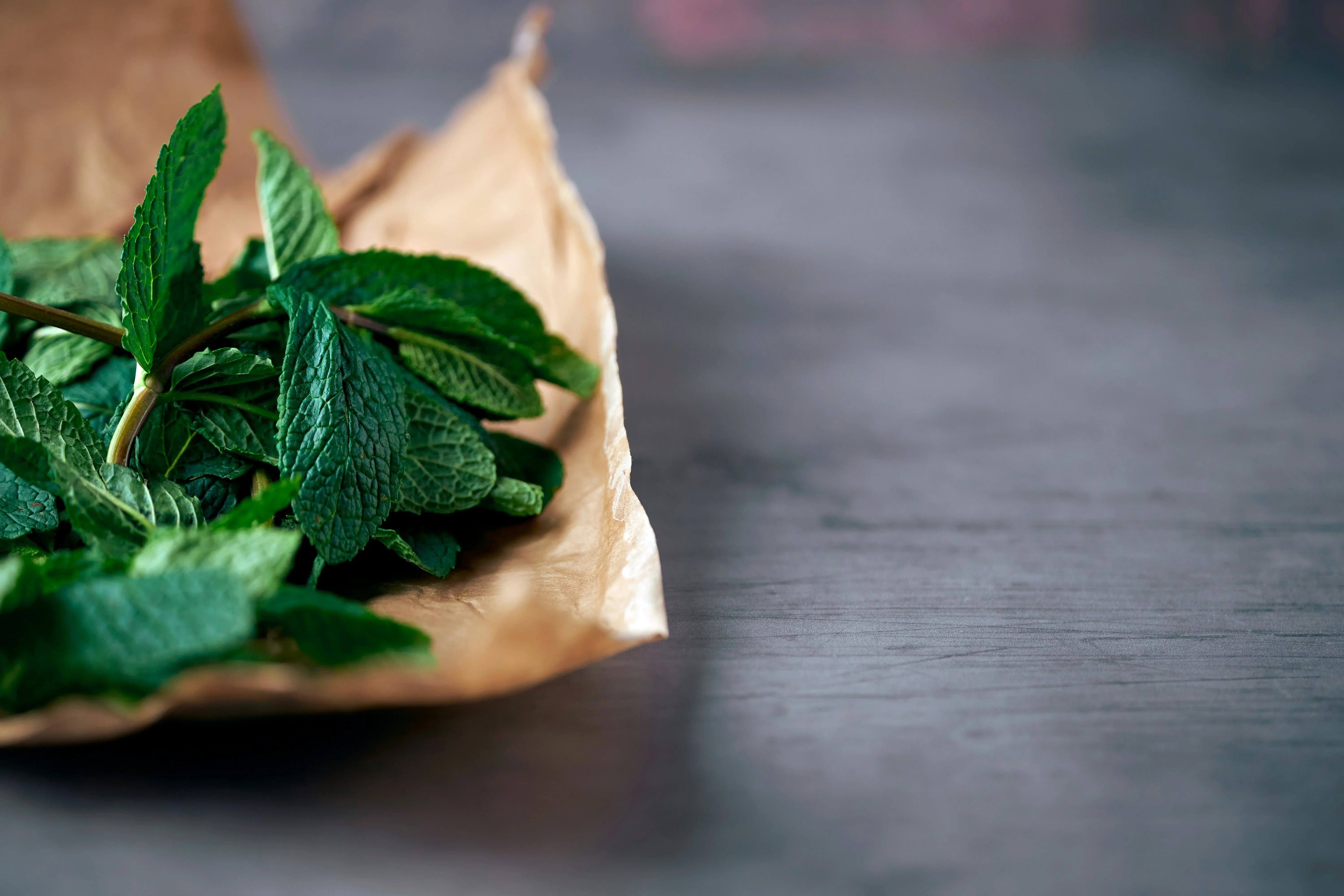 Best Mint Nicotine Pouches in the UK: Peppermint vs Spearmint vs. Wintergreen