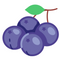 Blueberry