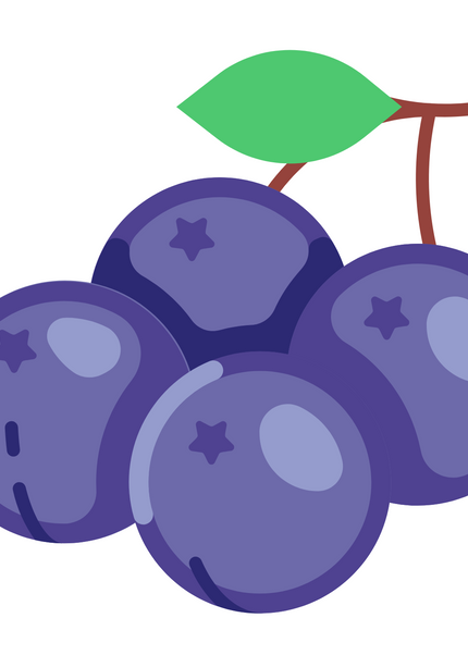 Collection image for: Blueberry